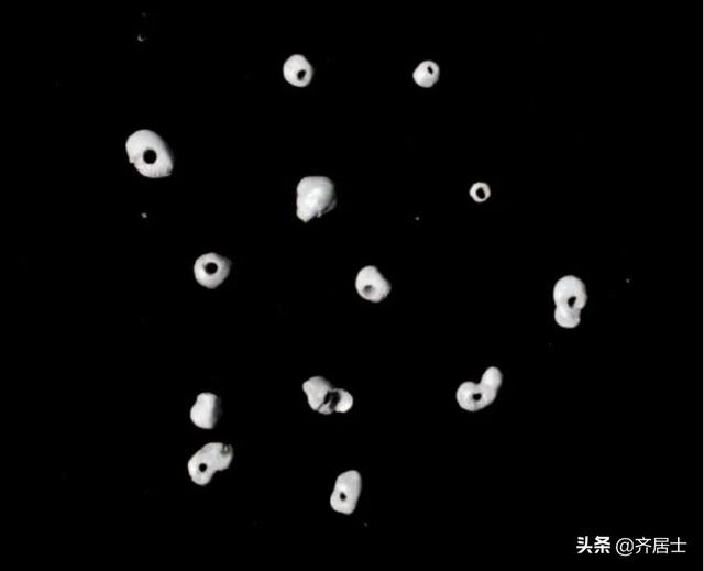 舍利是什么意思，舍利是什么（泾川三次出土舍利）