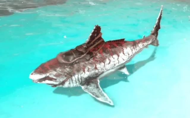 方舟生存进化鱼龙怎么驯服，方舟生存进化鱼龙驯服度下降（生存进化》必驯生物攻略）