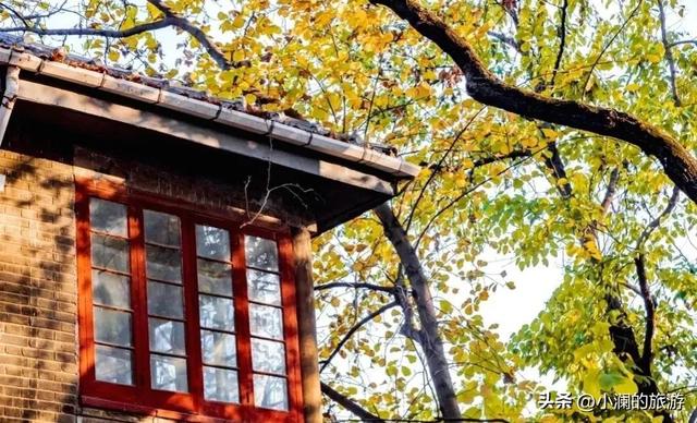 南京有什么玩的，南京最值得玩的景点有哪些免费的（南京6个很美的旅行地）