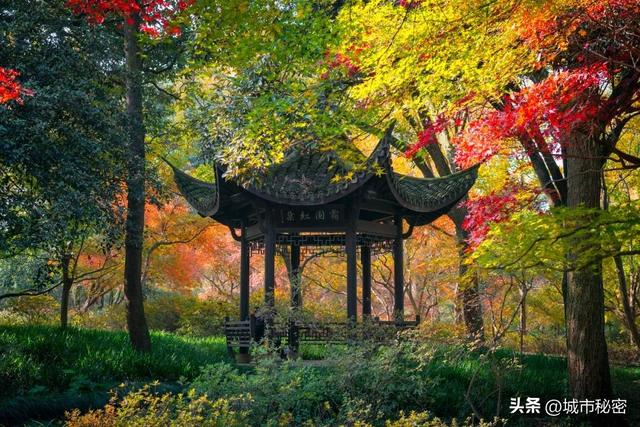 八载图片保护有哪些，八载图片保护怎么设置（西湖保护70年）