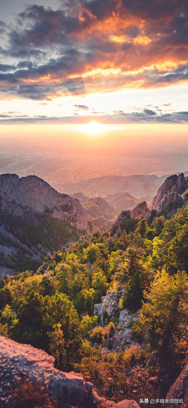 强颜欢笑的意思大概是笑着用最美的方式难受，强颜欢笑是一种什么感觉，微信头像（只为证明没有你）
