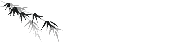 真正的爱情到底是什么，什么才是真正的爱情呢（梁思成与林徽因）