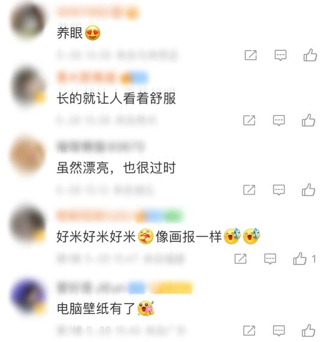 iu李智恩高清图片唯美，iu李智恩个人资料图片（身穿淡蓝西装美得像画报）