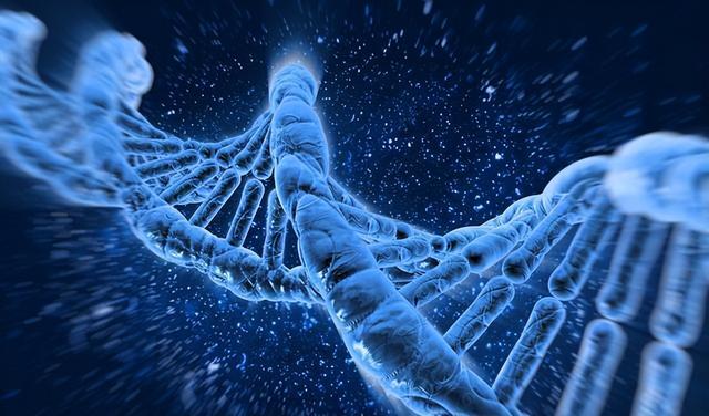 好看的进化类完本小说，好看的生物进化类小说（5本生命进化类小说）