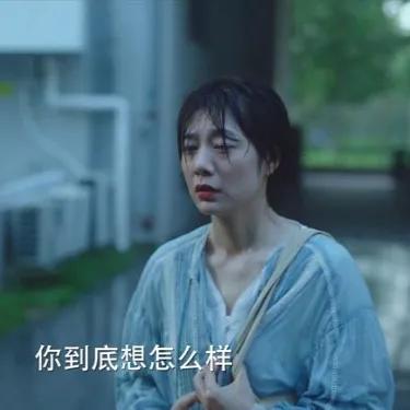 王真儿个人资料，王真儿个人资料背景介绍（《妻子的选择》：亲妹跳楼）