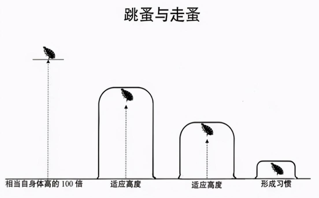 世界著名三大定律，惊人的三大强者定律：螃蟹定律