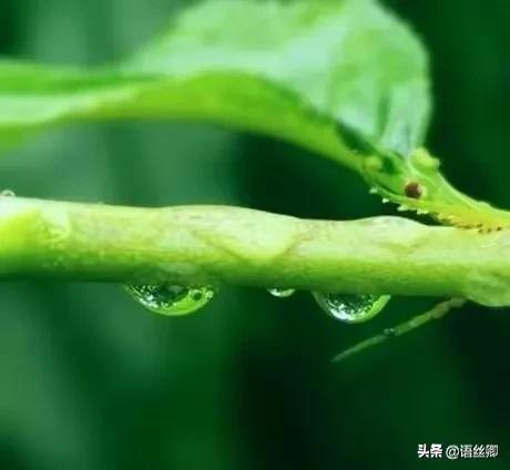 暑假随笔：雨，暑假的暴雨作文（随笔：翩然一场七夕雨）