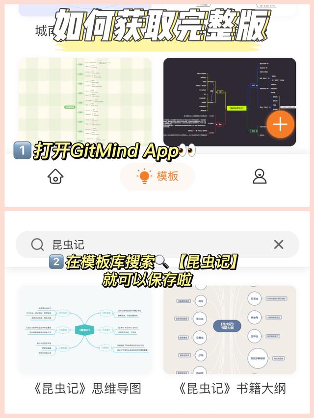 昆虫记思维导图，《昆虫记》思维导图模板分享（昆虫记思维导图18种昆虫大全）
