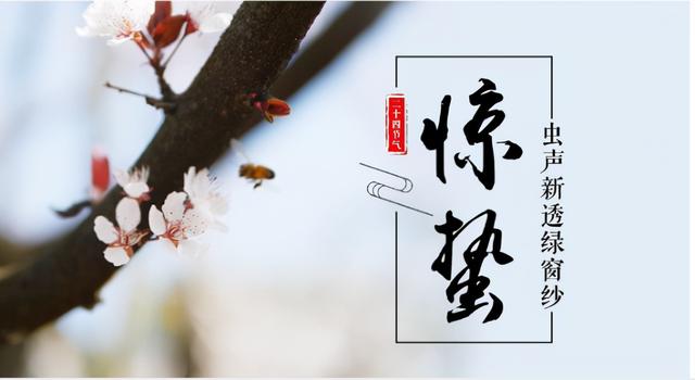 虫声新透绿窗纱，虫声新透绿窗纱的前一句（惊蛰，虫声新透绿窗纱）