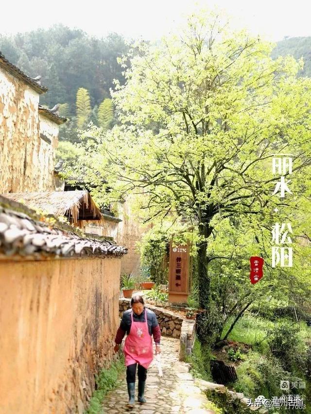 松阳县旅游景点，古韵松阳——江南最后的秘境