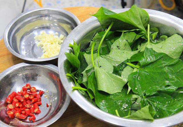 菜类蔬菜名字，菜类蔬菜名字大全（一天的钙都补足了）