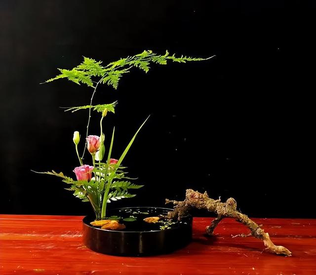 石蒜的主要特征就和种植要点详情介绍,石蒜生长环境和特点(出暑啦