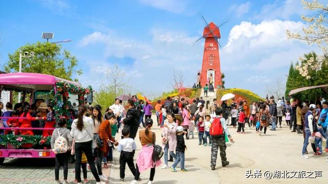 免费游湖北泡温泉，第8期：游花海、泡温泉