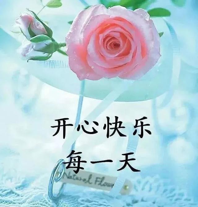 励志早安心语正能量，每天励志正能量早安语（正能量生活语录句子）