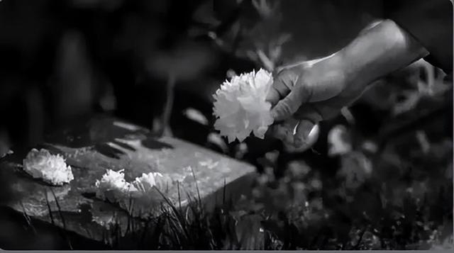 7月11日是什么节日，7.11是什么节日（烈士纪念日丨缅怀消防英烈）