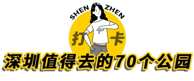 深圳湾海滨公园，冬天深圳湾海滨公园（深圳值得去的70个公园）