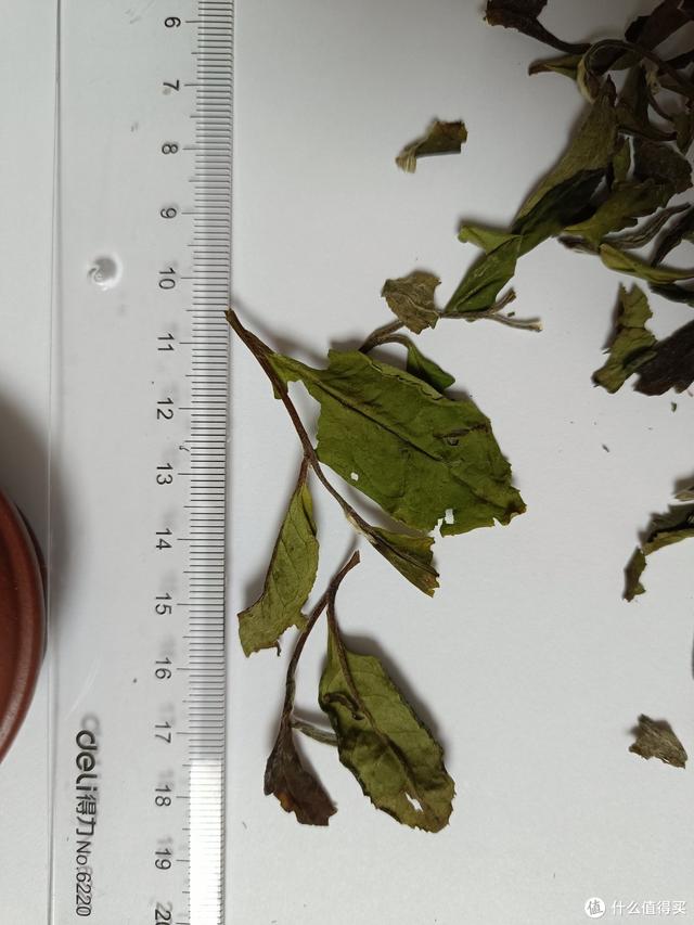 质量好的白茶正宗白茶，寄与爱茶人—品评这两年买的十几款白茶