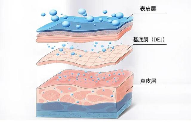 精华液的用法，玻尿酸神经酰胺肌底精华液的用法（精华液的正确用法是什么）