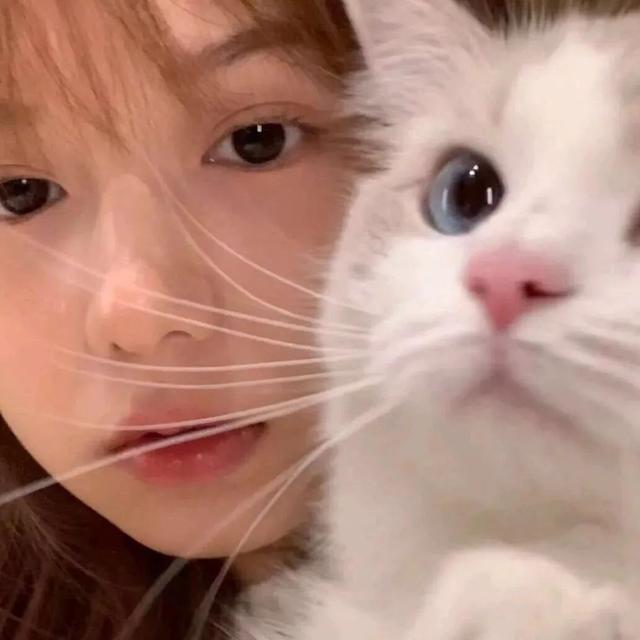 猫系女孩，微信头像，猫系女孩（女生头像：抱猫头像）