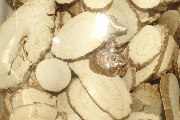 黄芪和北芪有什么区别，黄芪的用途和功效（黄芪、西洋参都能补气）