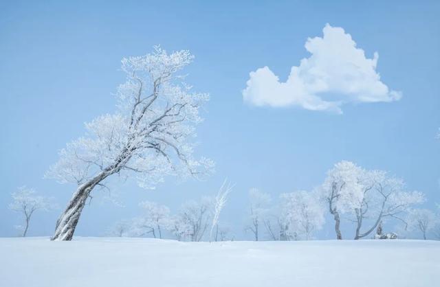 经典花诗歌句子，诗与花唯美句子（10首咏雪诗词）