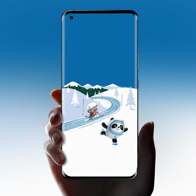 冰墩墩都有什么样的，冰墩墩高清壁纸（关于冰墩墩的介绍）