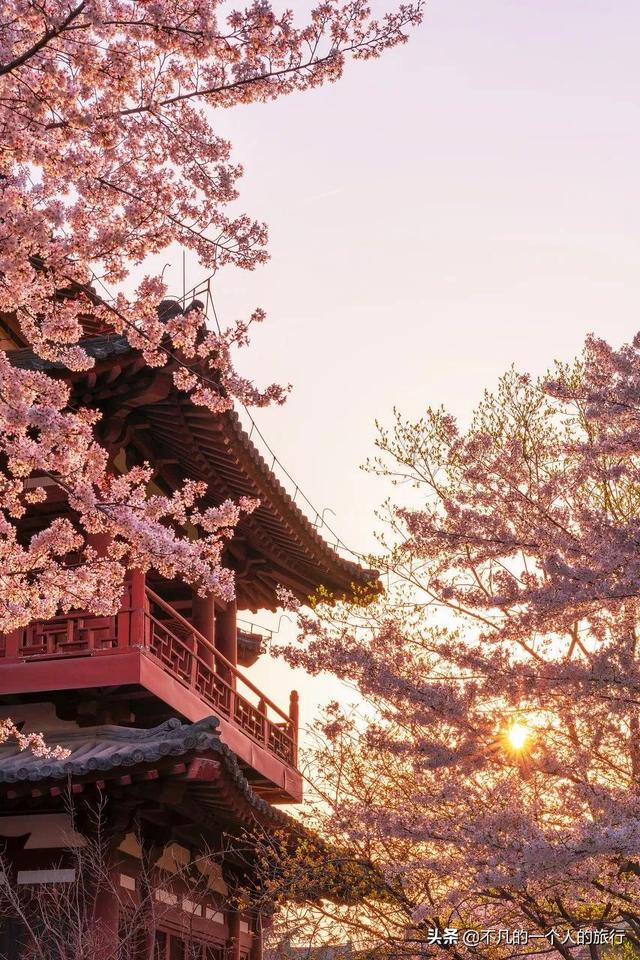 国内旅游景点推，国内旅游景点推荐（中国最适合带父母出游的20个地方）