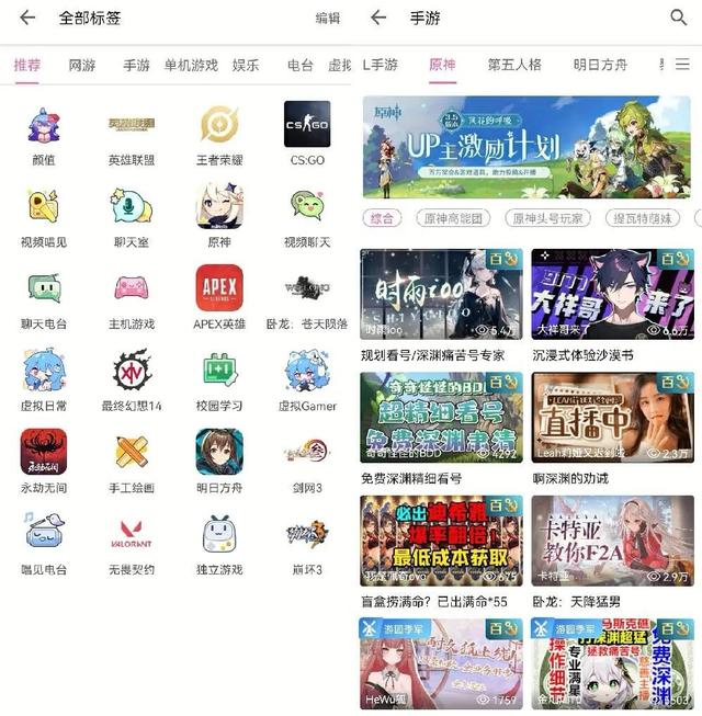 B站Up主分了91亿，b站大up主能挣多少钱（B站降本增效这一年）