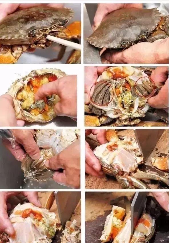 螃蟹怎么清洗干净，活的螃蟹怎么处理干净（秦皇岛老饕手把手教你海鲜清理方法）