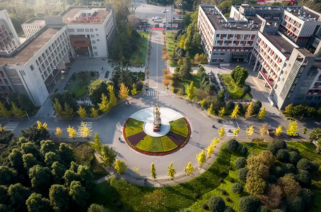 西南石油大学专业，西南石油大学有哪些专业（这些专业收入高、满意度高）