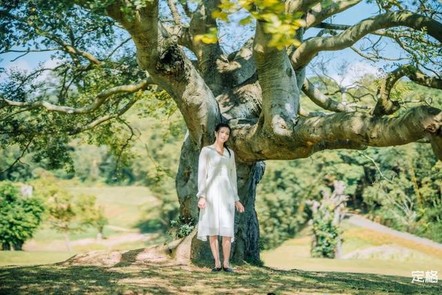 深圳一日游免费必去的地方，深圳最适合一日游的15个免费景点（深圳10个小众打卡地）