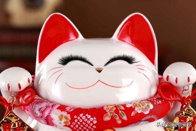 猫的名字叫什么好听,猫咪好听的而且独特的名字(招财猫名字取名方法)