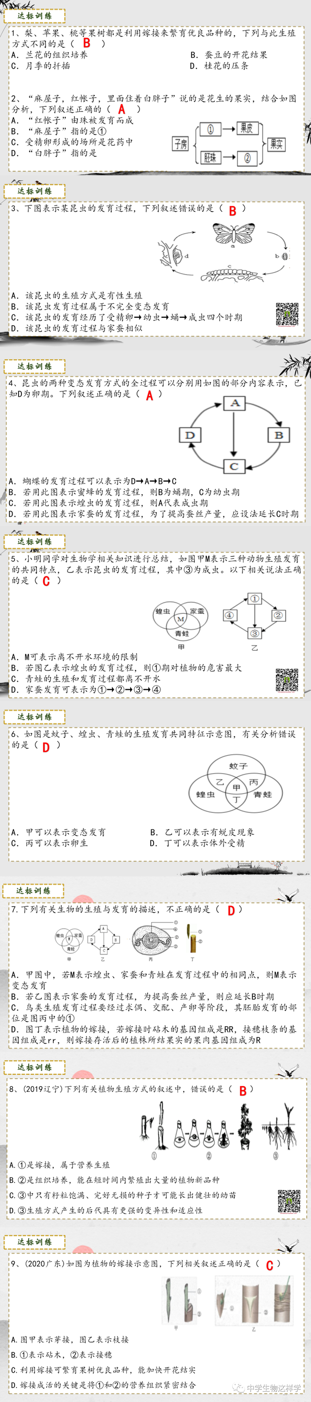 什么是无性生殖，什么叫做无性生殖（中考生物一轮复习）