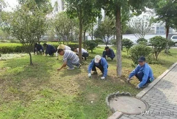 西装革履貌似高贵，西装革履by一吨山（搞物业的你到底是干啥的呀）