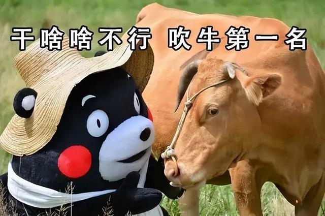 cjb是什么意思，cjb是什么意思网络用语（—“CJB”是什么梗）