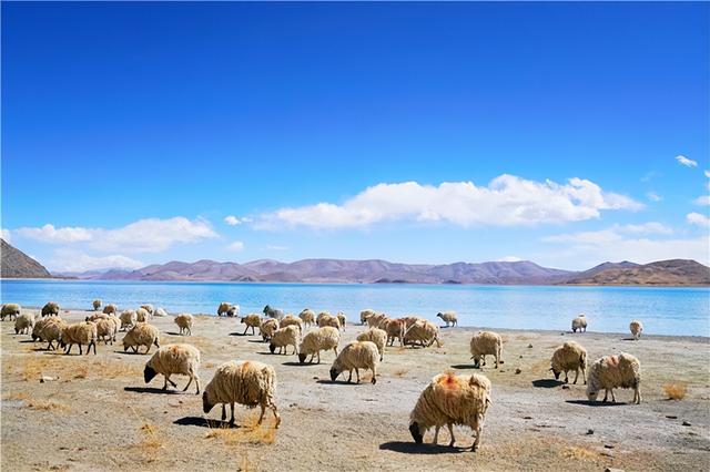 羊湖属于哪里，羊湖属于哪里管辖（遇见人间仙境羊湖最真实的模样）