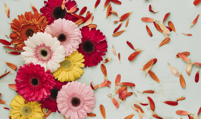 4月份是什么星座，6月份是什么星座（创造出令人羡慕的成绩）