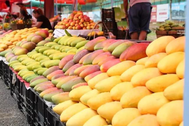 广西水果特产有哪些，桂林水果特产有哪些（一年四季都有不同的水果）