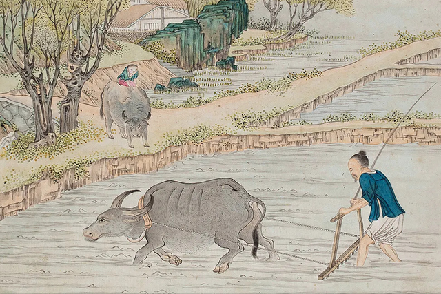 善恶的经典句子，人心善恶经典句子（俗语“善恶看嘴眼）