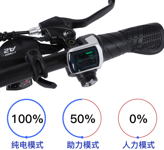 电动自行车价格及图片，大众电动车价格及图片大全（凤凰FH电动自行车测评）