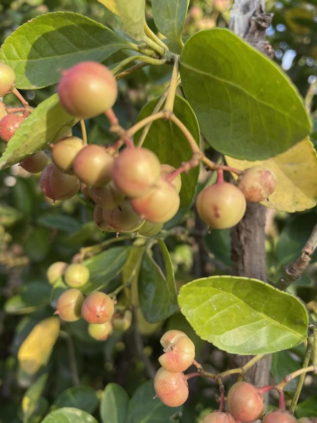 灵魂相似的人一旦相逢，灵魂相似的人一旦相逢是知心朋友（总有一天会在路上相逢）