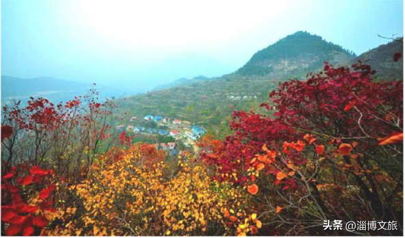 传统古村落与乡村旅游，还有众多A级景区和民宿