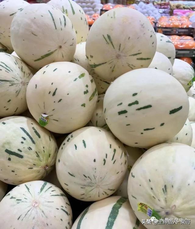 绿色的哈密瓜叫什么，绿色的哈密瓜叫什么名字（哈密瓜、蜜瓜、网纹瓜、香瓜、羊角蜜傻傻分不清）