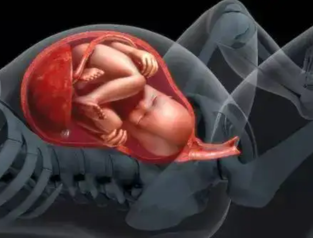 2003年非典多少人感染，2003年非典感染人数是多少（2003年让人胆寒的非典）