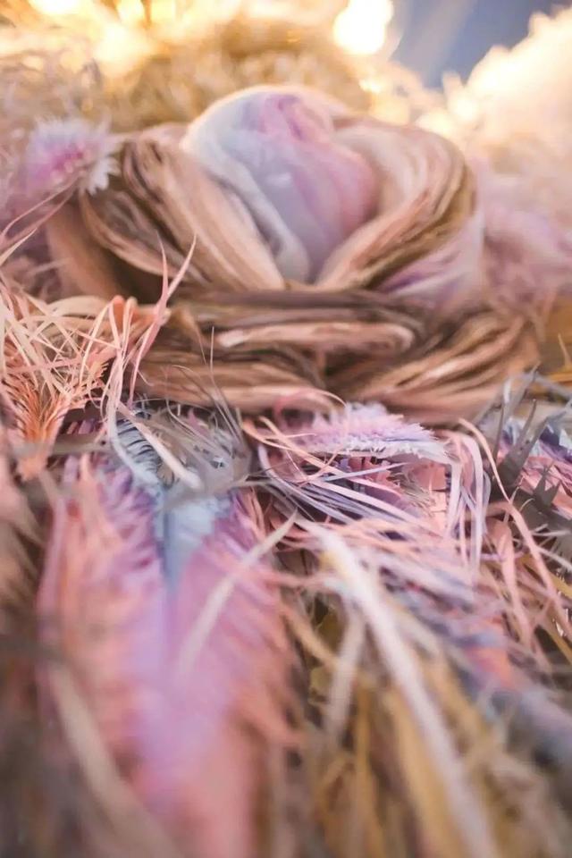 用卫生纸怎么做花，怎样用卫生纸做白花（她用纸种花，美成了童话）