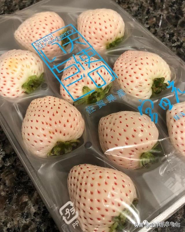 九九草莓特点，九九草莓有几个品种（中国草莓主要产地分布及品种介绍）