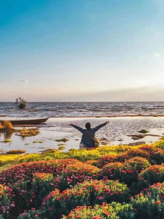 云南最好吃的野生菌在哪，中国最浪漫城市非她莫属