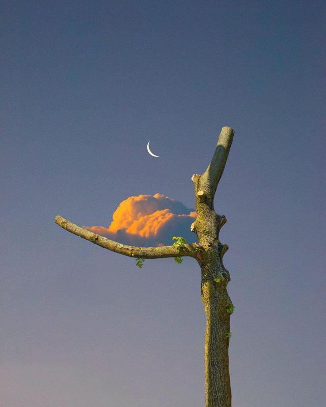 男人霸气的句子，关于男生的霸气句子（关于人生的高质量句子）