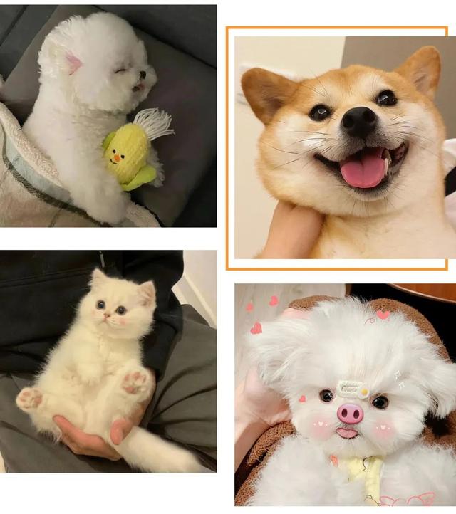 男生头像黑暗系，黑暗系男头像（如何靠微信头像辨别渣男渣女）