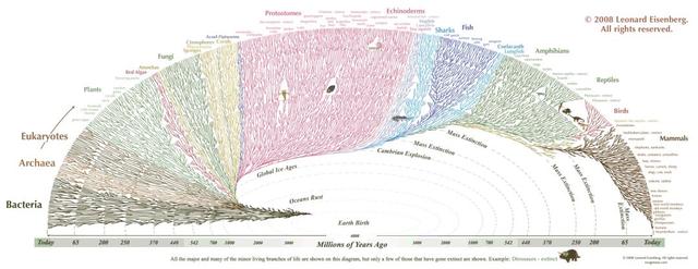 恐龙全部都灭绝了吗，6500万年前恐龙灭绝